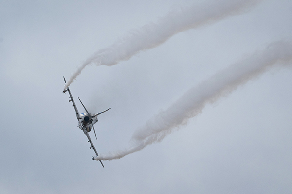Hawk solo display.